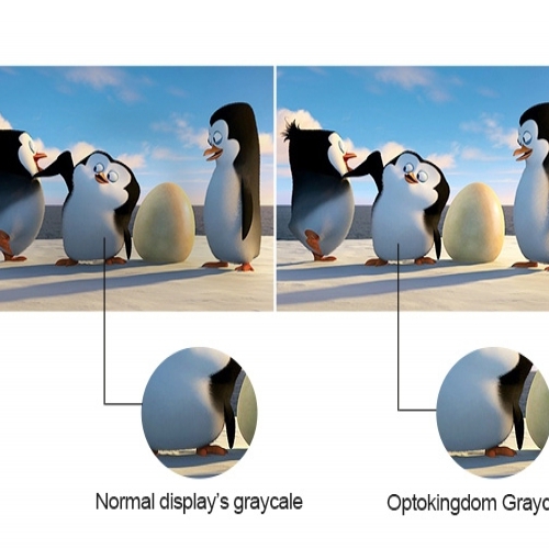 Yüksek Gri Ölçek - Daha İyi Resim